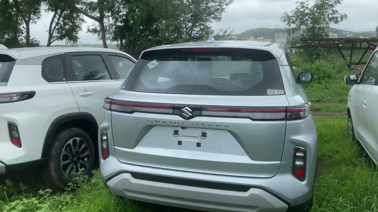 Grand vitara delta CNG splendid silver colour