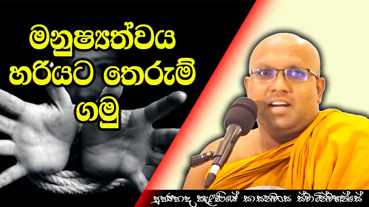 මනුෂ්&zwj;යත්වය හරියට තෙරුම් ගමු  | Kelaniye Sasanawansa Thero | Mindful Wisdom #Bana