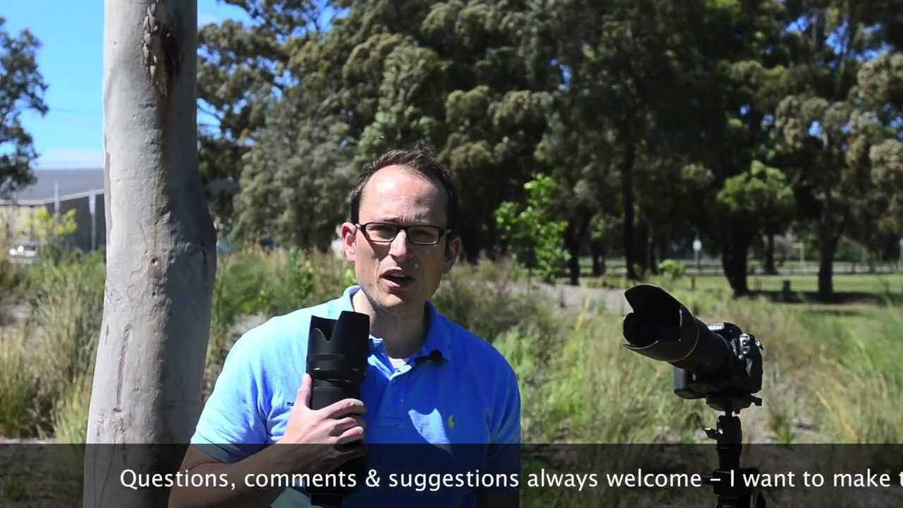 70-200mm f2.8 shootout - Sharpness & IQ - Sigma OS vs Tamron vs Nikon VRII