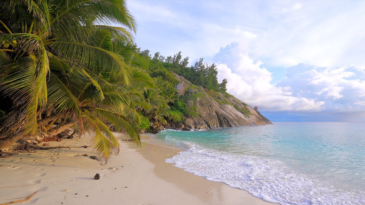 🏝 Seychelles 4K ULTRA HD.  Ocean Water and Wild Beach