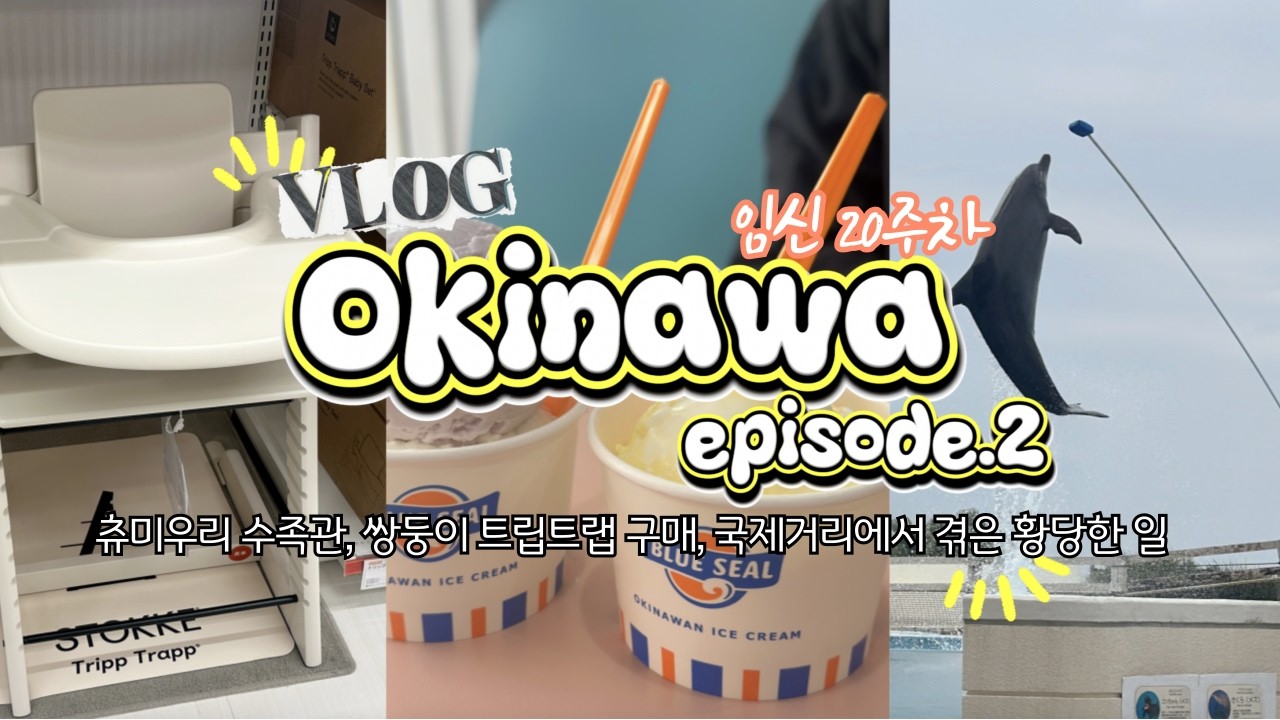 [vlog] 오키나와 태교여행 마지막편 🦋 I 츄라우미 수족관, 아카짱혼포 트립트랩 구매팁, 국제거리 류현진 맛집 임산부차별썰?, 태닝키티 티셔츠, 단보라멘 (20w)