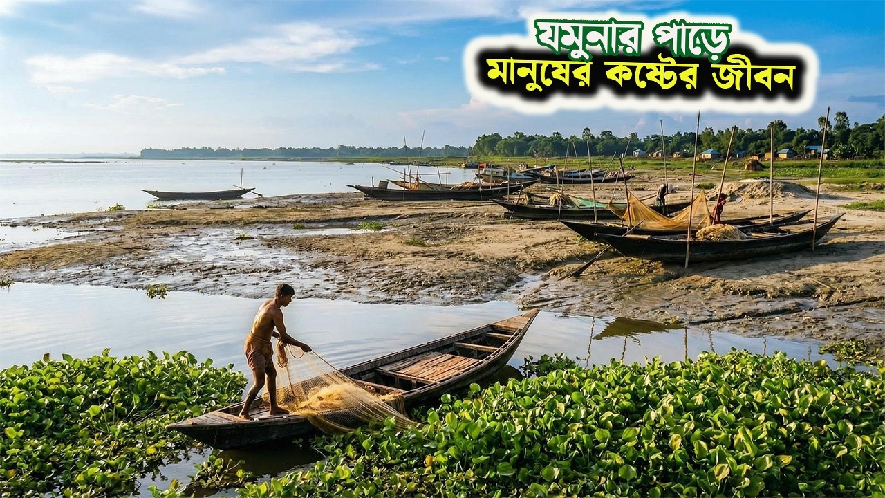 পায়ে হেঁটে যমুনা নদী পাড়ি দিচ্ছে এখান কার কৃষক।