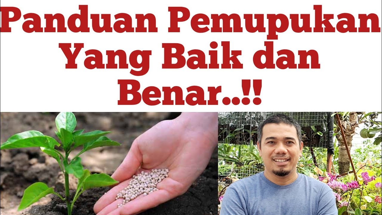 Cara pemupukan Tanaman yang Baik dan Benar, Cara membuat tanaman subur/cara memilih pupuk yang tepat