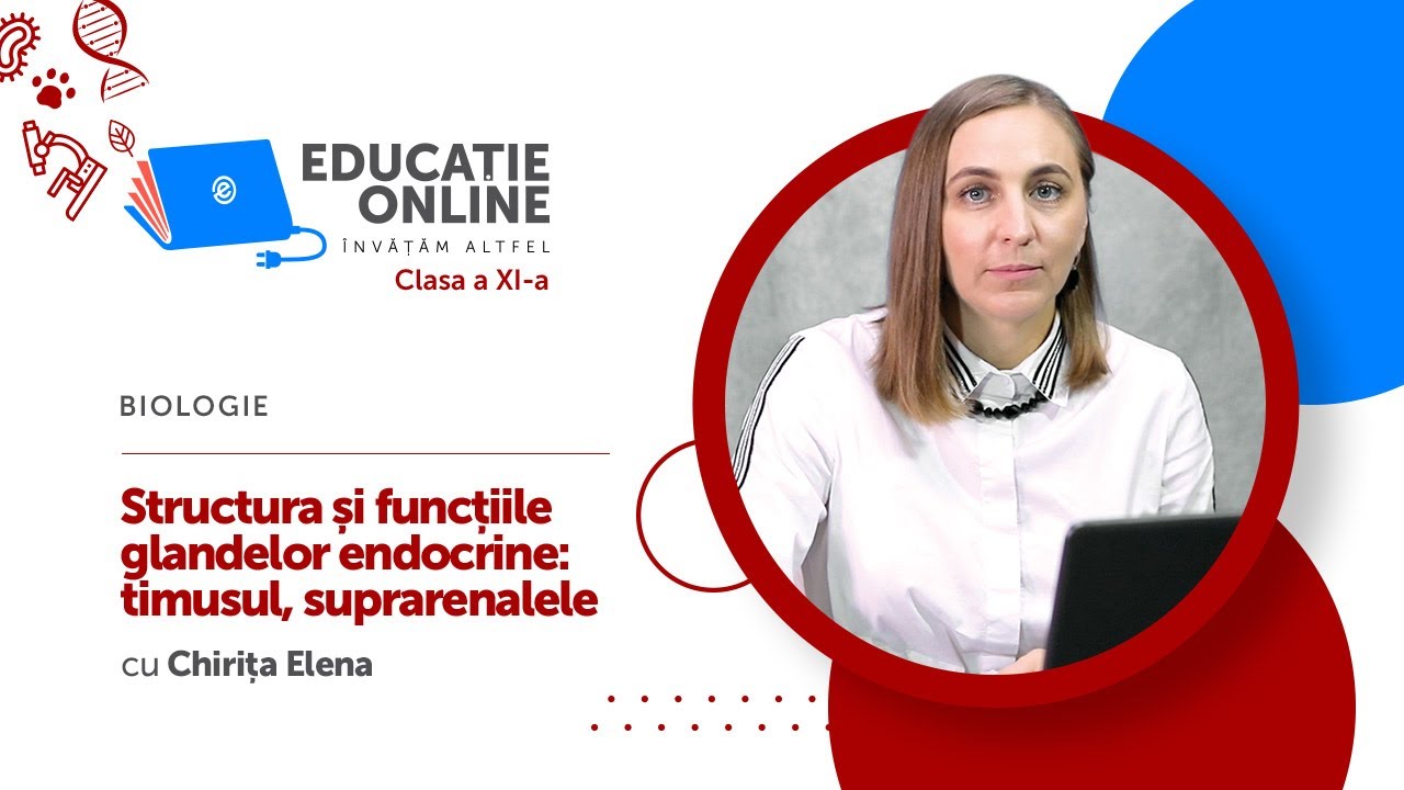 Biologie, Clasa a XI-a, Structura și funcțiile glandelor endocrine: timusul, suprarenalele