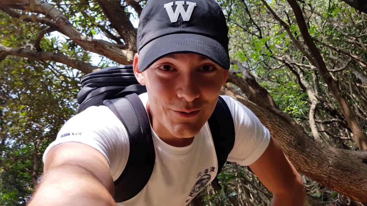 Vlog Japon : PREMIERE RENCONTRE SOUS TENSION AVEC LES SINGES DE YAKUSHIMA