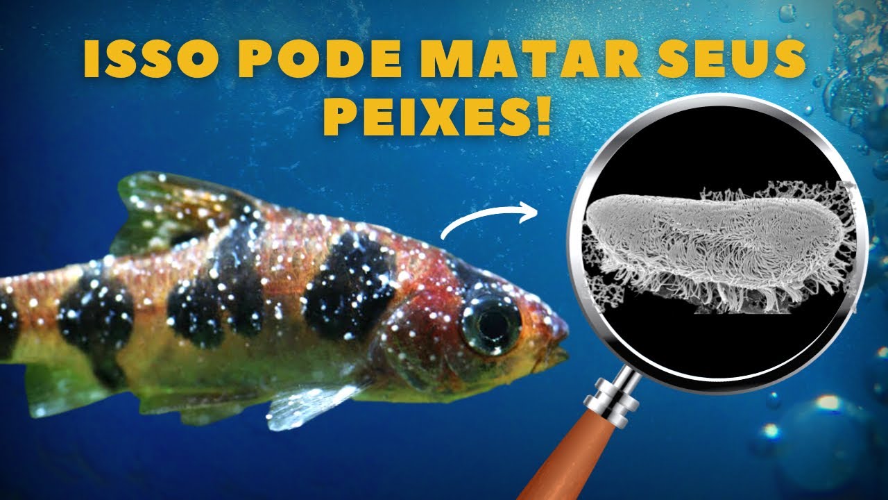 ÍCTIO | VOCÊ SABE O QUE É E COMO TRATAR?