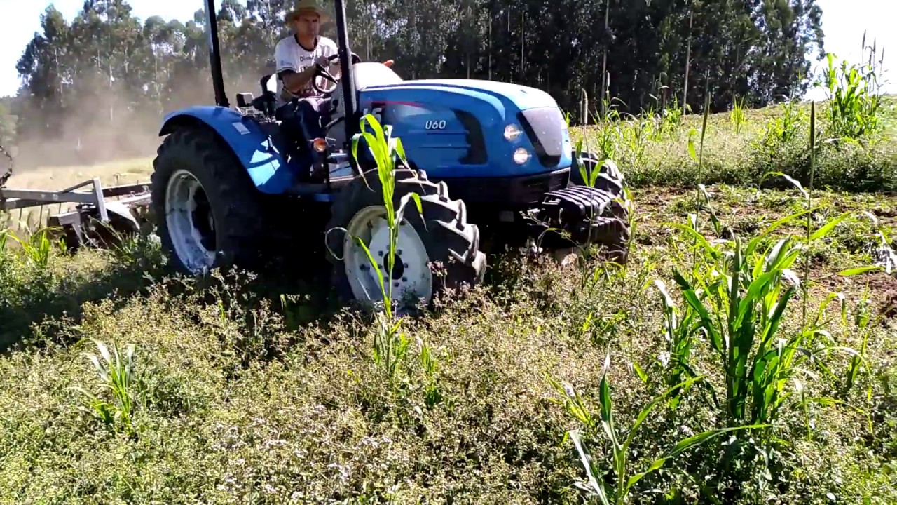LS U60 - Grade Niveladora 24 alongada