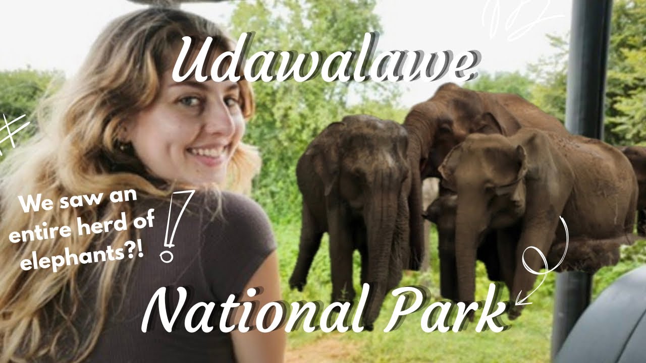 Sri Lanka 🇱🇰 Day 10: Udawalawe 