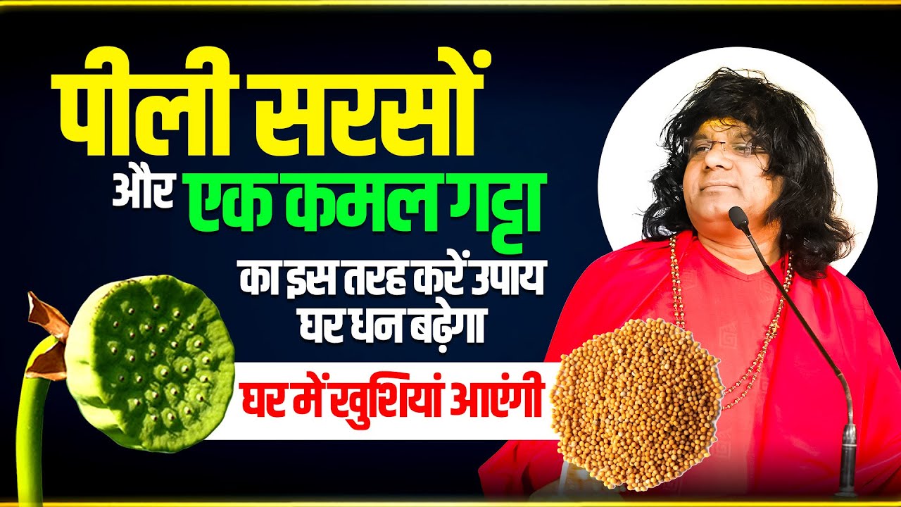 पीली सरसों और एक कमल गट्टा का इस तरह करें उपाय, घर धन बढ़ेगा, घर में खुशियां आएंगी