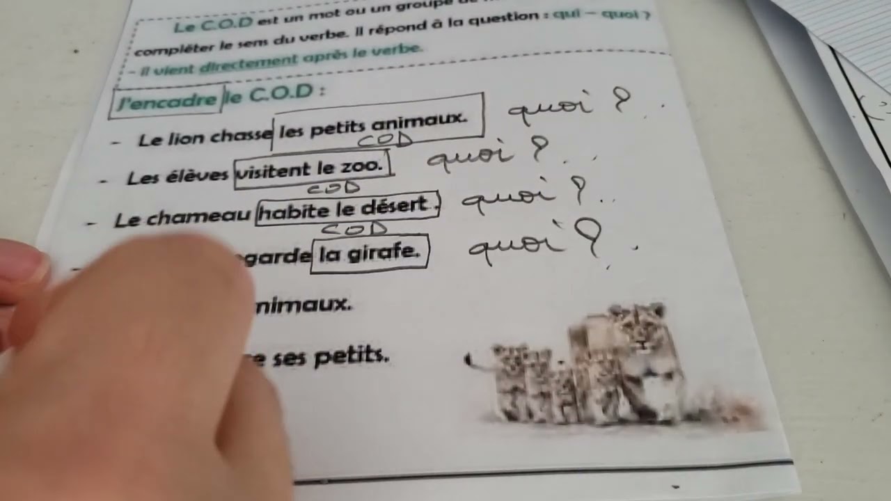 تمارين على :COI et COD