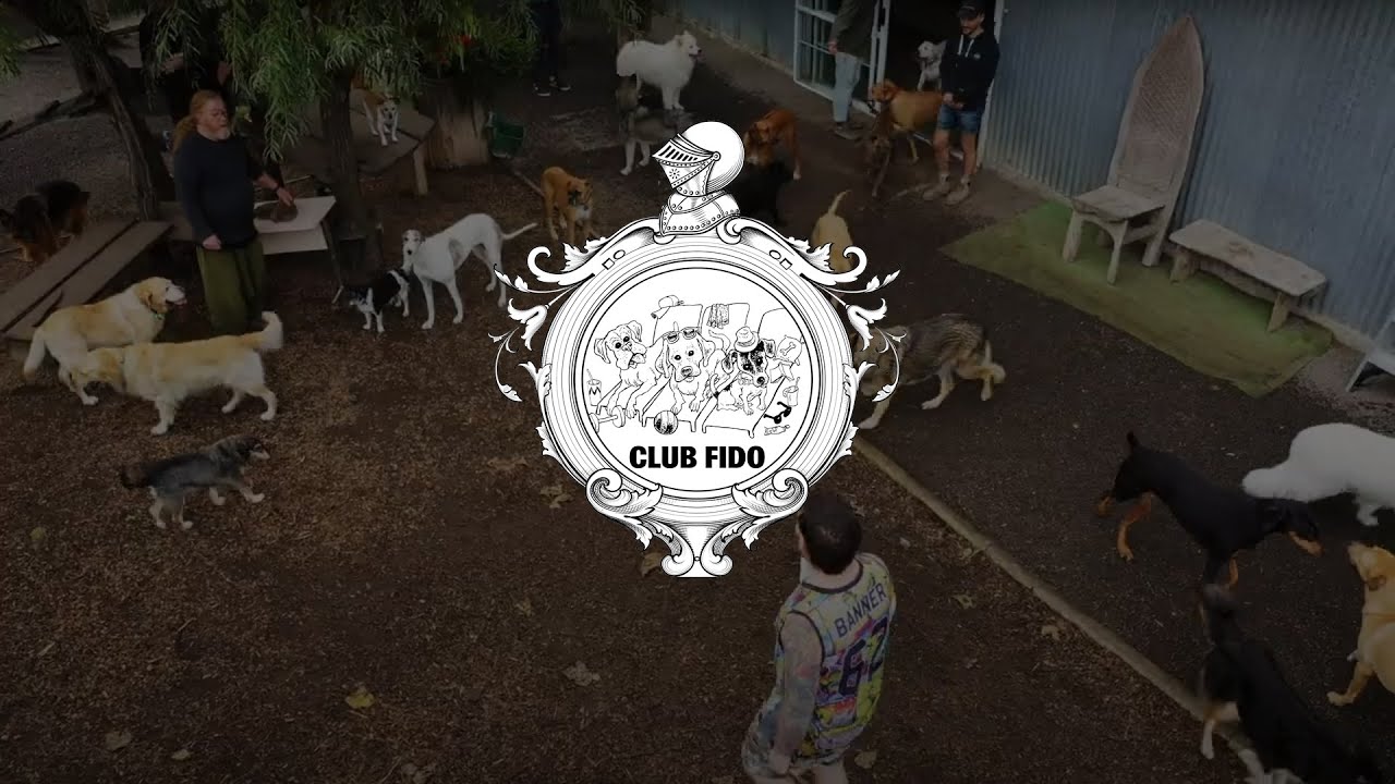 Club Fido commercial, 2021