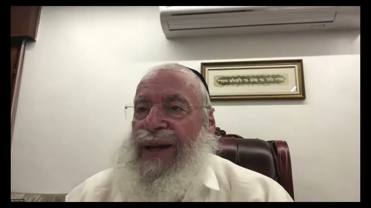 What Can One Do Before Davening Shachris | Agudah Shiur By Rav Asher Weiss Shlit