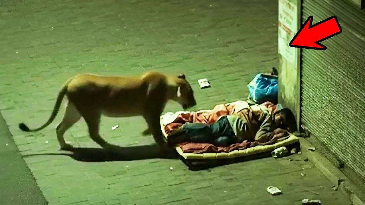 اغرب الاشياء التي تم التقاطها عن طريق الكاميرات تم تصوير ذلك فعلا على الكاميرا