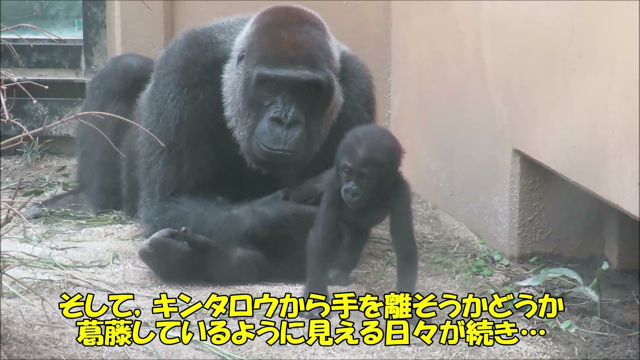 ゲンキ誕生日動画2021