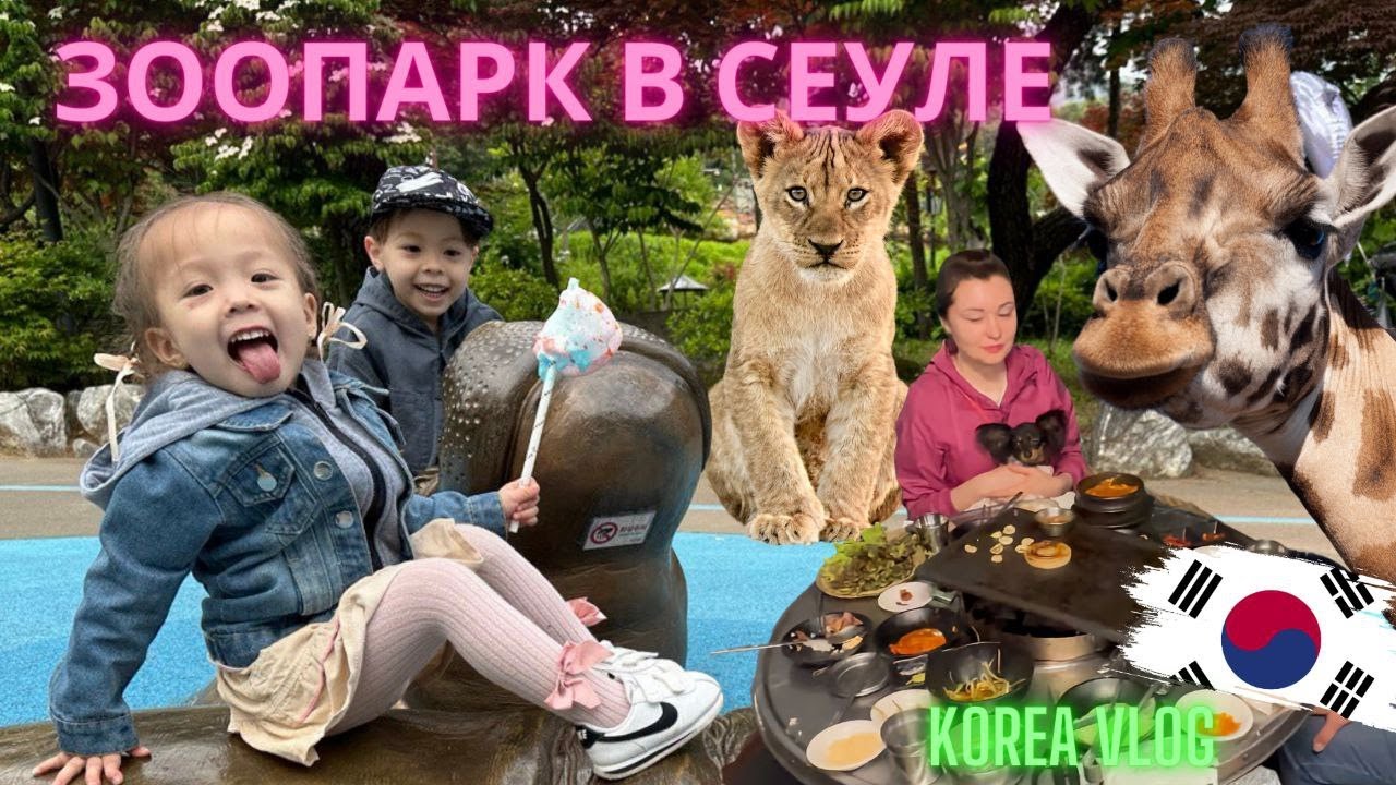 Сеульский зоопарк/Korea vlog