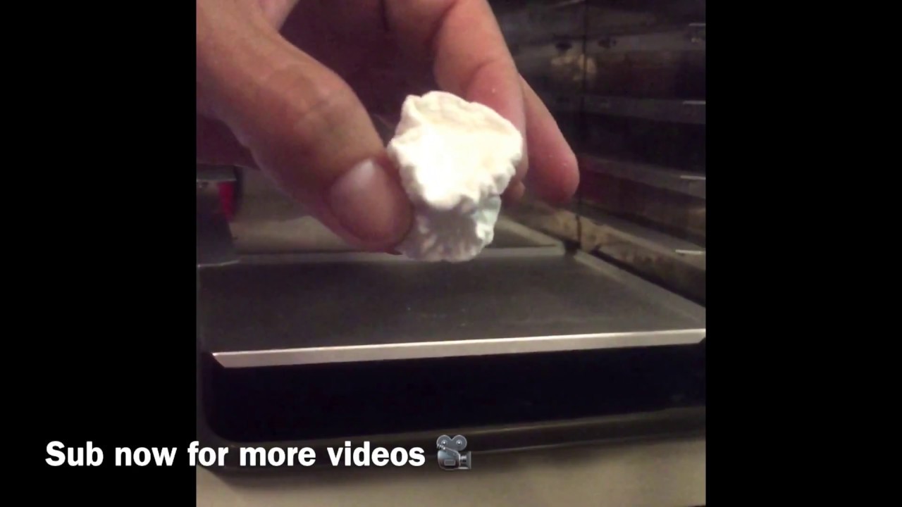 Marshmallow in Vacuum Chamber