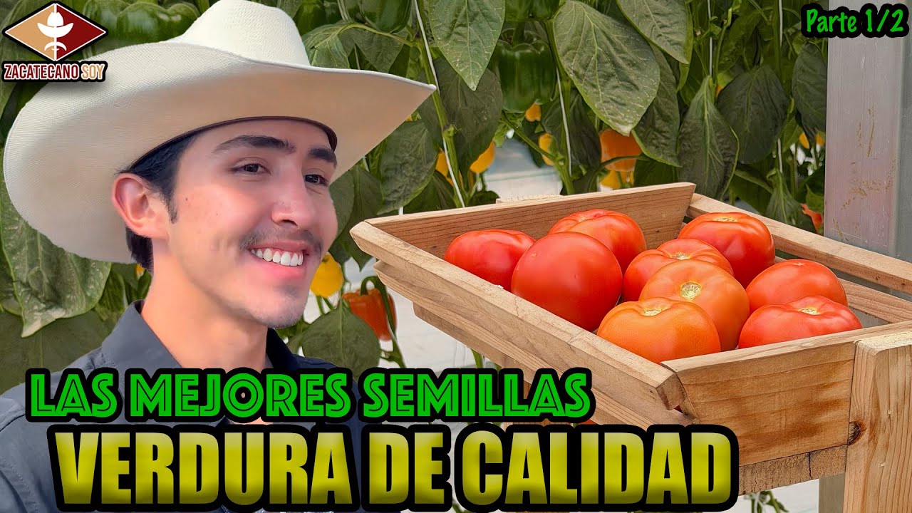 ¿PLANTAS SIN TIERRA? Así evoluciona el campo 