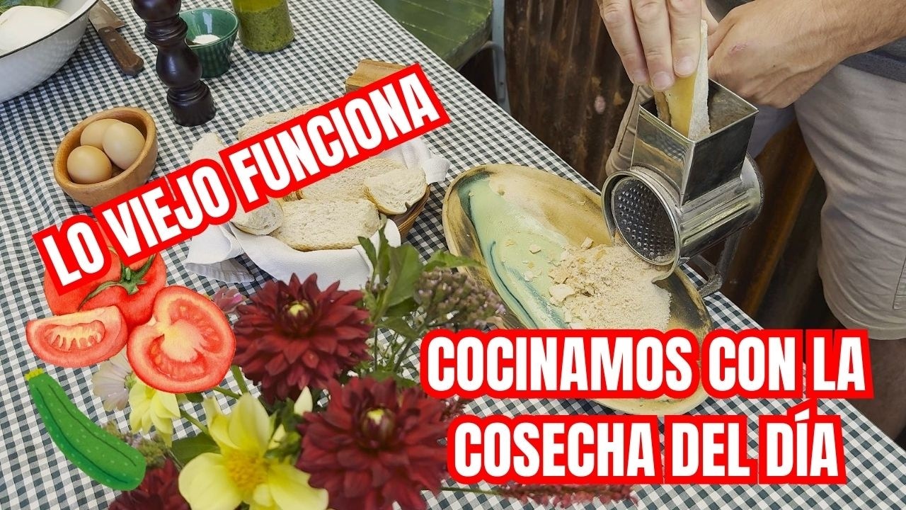 🥗 Día lento de cosecha y COCINA de CAMPO - Lo viejo funciona - cómo hicimos milanesas de zapallitos