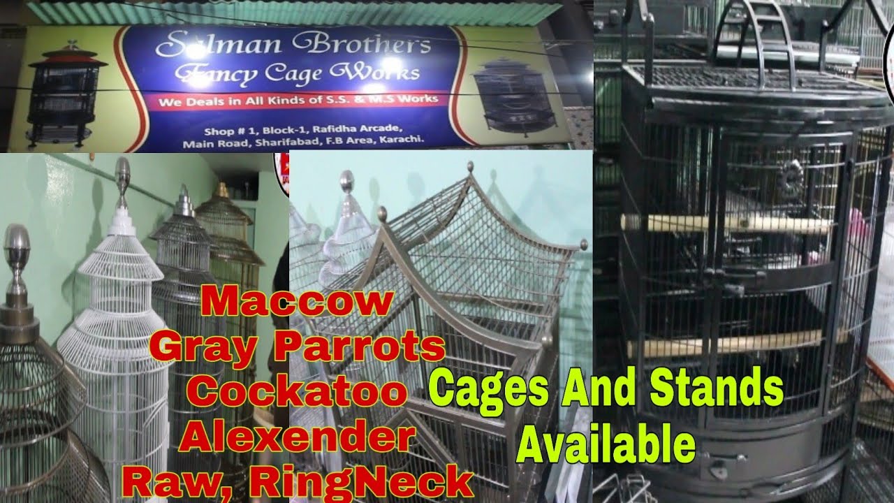All Cages Maccow Cages Gray Parrots Cockatoo Alexender And Raw Parrots Cages And Stand Available ...