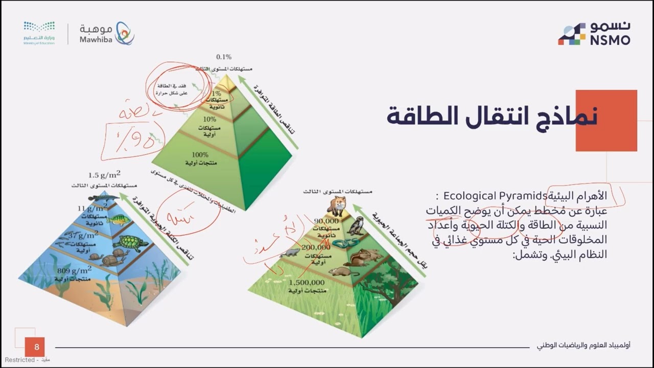 أولمبياد نسمو -تخصص علوم/الأحياء- الدرس العشرون انتقال الطاقة