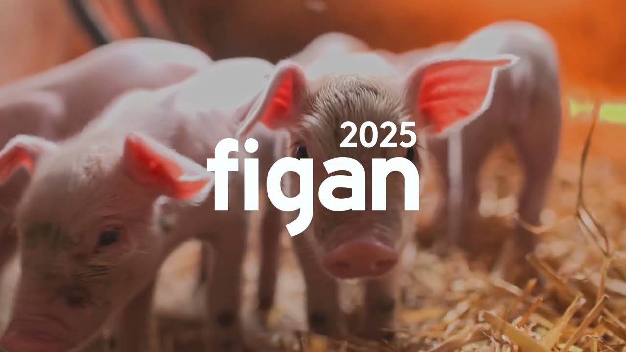 FIGAN 2025