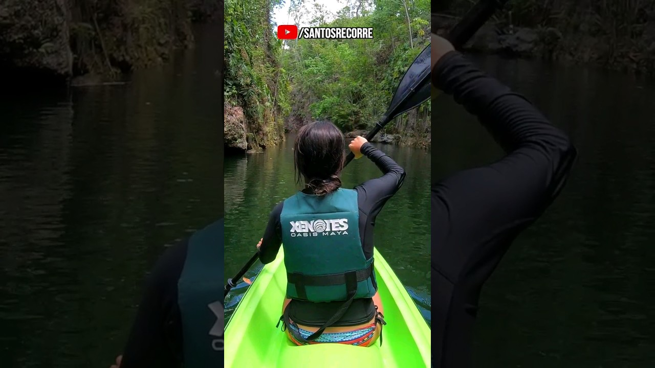 XENOTES by XCARET 🌴 wonderful river👌#short #shorts #shortsfeed #shortvideo #xcaret #cenotes #mexico