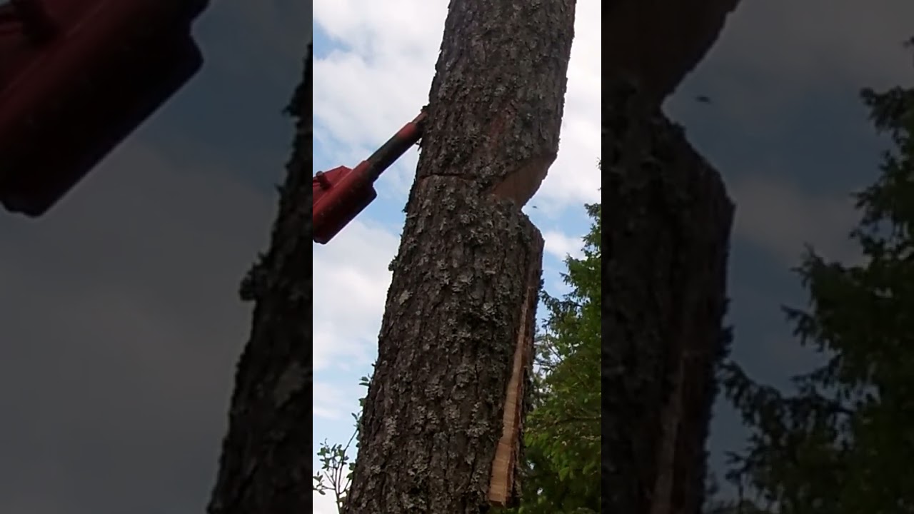 WHY YOU SHOULD USE WEDGES OR A TREE JACK!