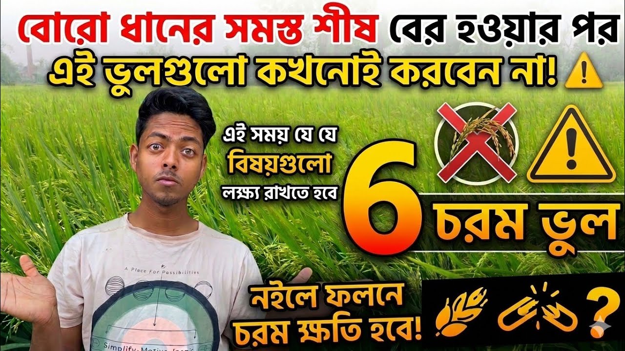 বোরো ধানের সমস্ত শীষ বের হওয়ার পর এই ৬টি ভুল কখনোই করবেন না! ⚠️ | Boro Dhaner Porichorja