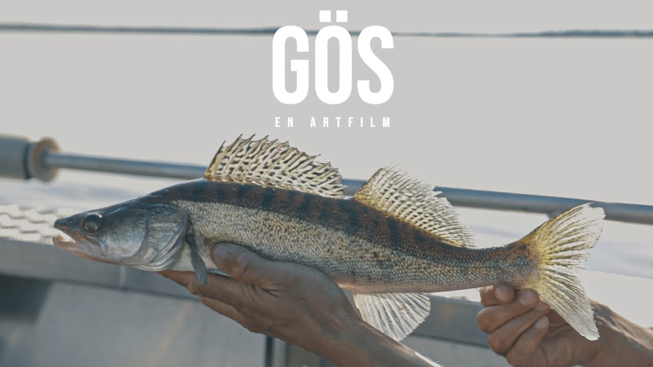 Gös - En artfilm