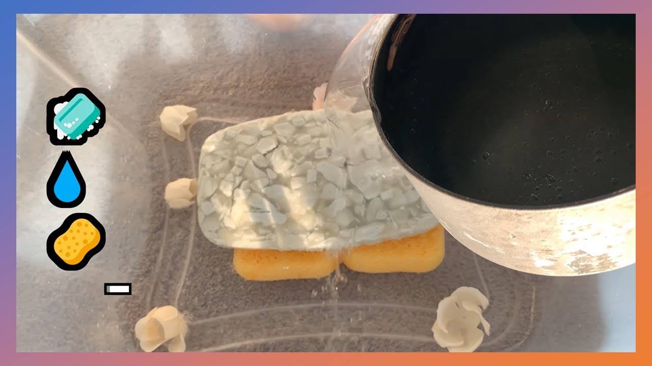 🧼🌲ASMR Mushy Soap Sponge Squeezing! w/ Charcoal Irish Spring Bar Soap & Pine Pinalen🌲🧼