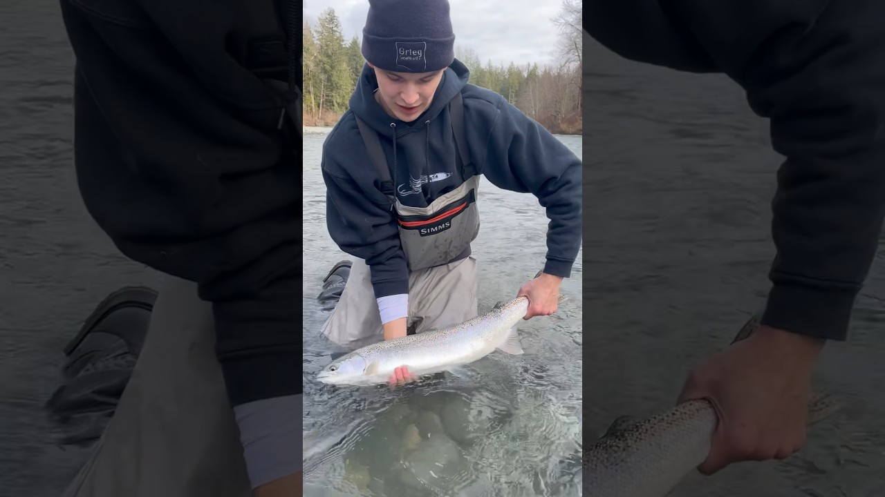 Vancouver Island Winter Steelhead 2023