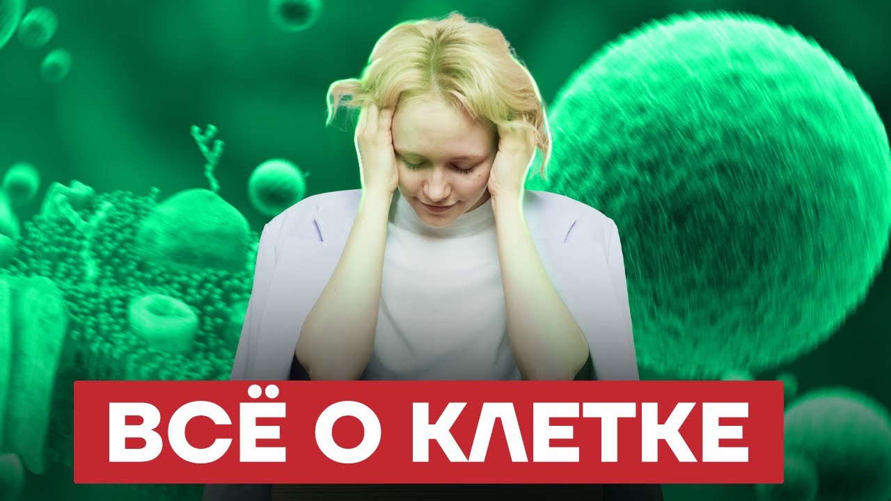 Строение клетки | ОГЭ по биологии | Умскул