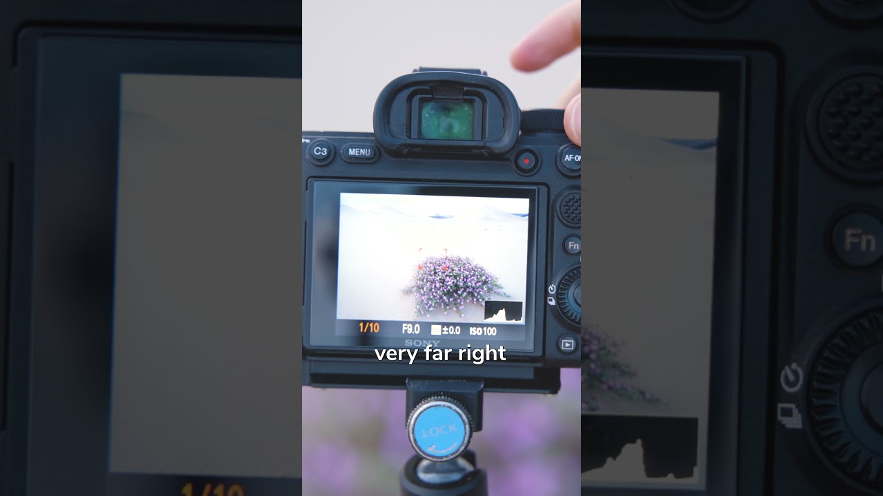 Как использовать гистограмму камеры для правильной экспозиции фотографий