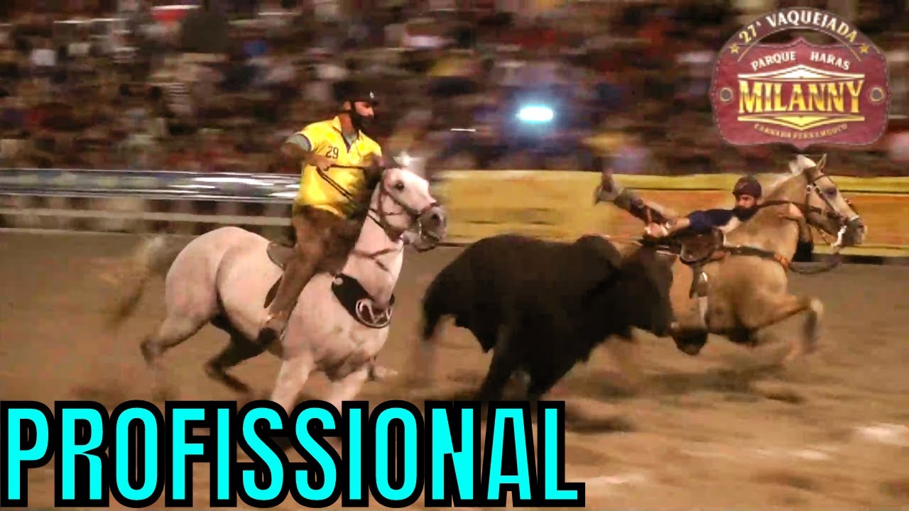PQ  MILANNY - PROFISSIONAL - 2021
