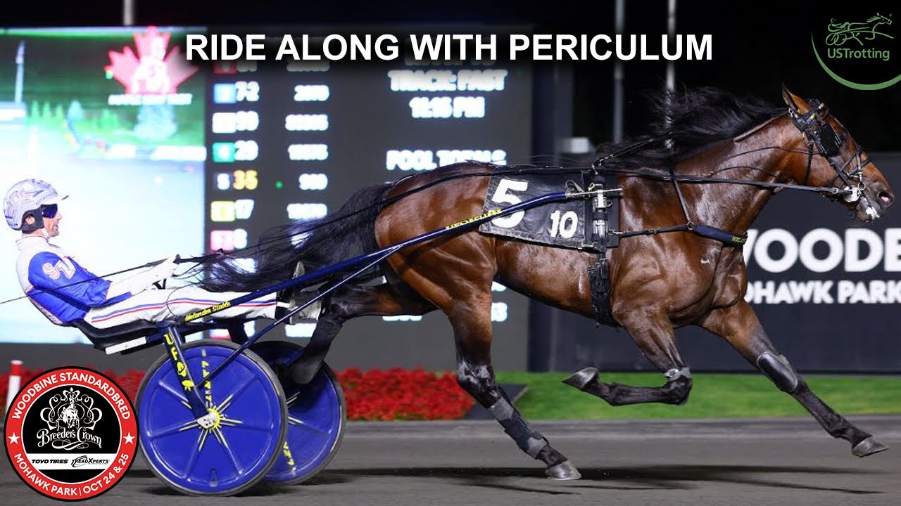 Ride along with Periculum | UsTrotting 