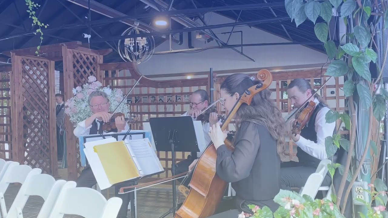 Can’t help falling in love - String quartet cover