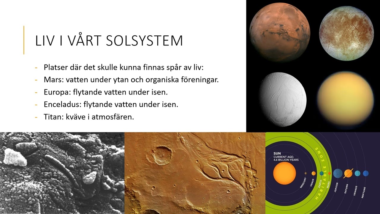 Liv i universum