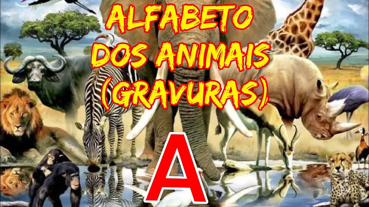 ALFABETO DOS ANIMAIS -  gravuras de animais com a letra A