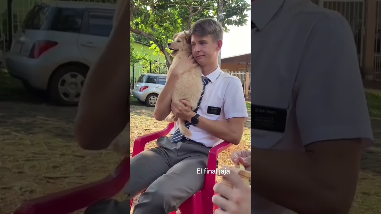 Mormones jugando con un perro y pasa esto Iglesia de Jesucristo SUD Misioneros ELDERES