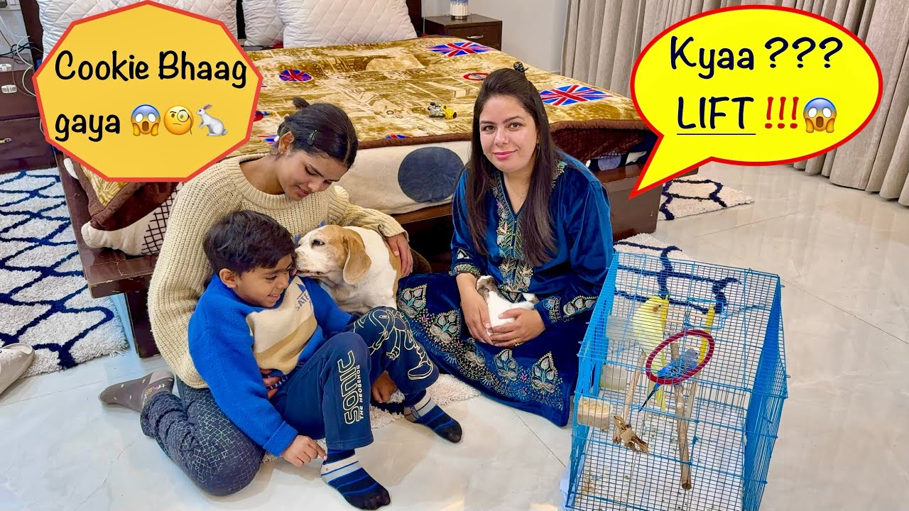 Tanya mittal ke ghar mei hi nahi humare ghar mei bhi hai lift😱😅🥰❤️