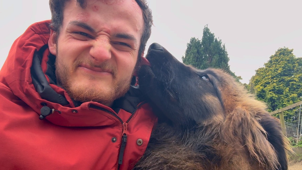 One on One With Winter!   Leonberger Pack!