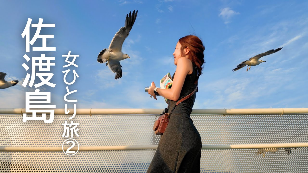【佐渡島ひとり旅②】贅沢海鮮ランチで佐渡を満喫！世界遺産とトキの森公園。佐渡一周線で大自然を感じたー！