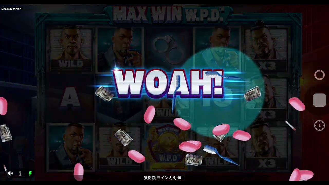 Max Win W P Dマックスウィン W P D
