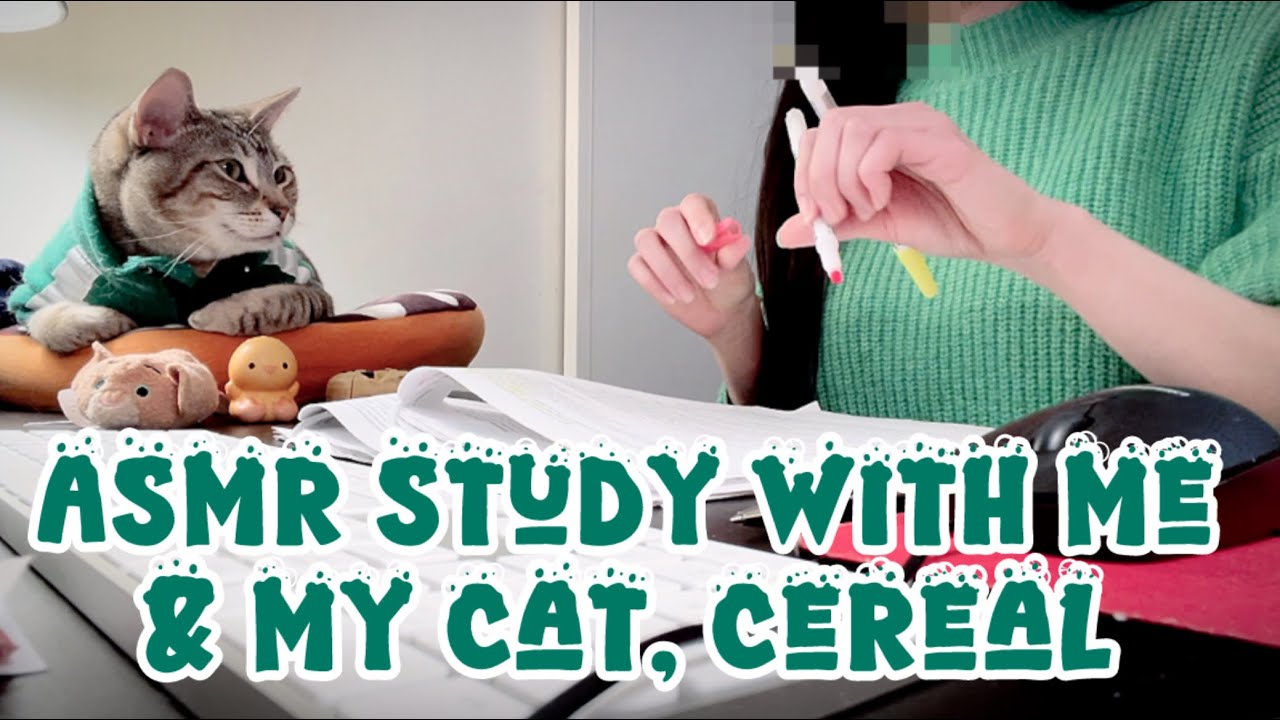 🐱💚 Late Night ASMR Study With Me & My Cat 🌙| Typing, Page Turning, Highlighter | No Talking