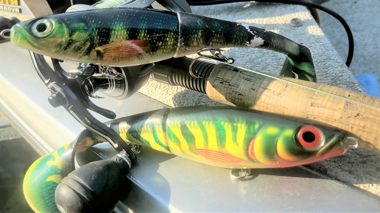 They Couldn't Resist!  Musky and Pike Love Rapala X-Raps!