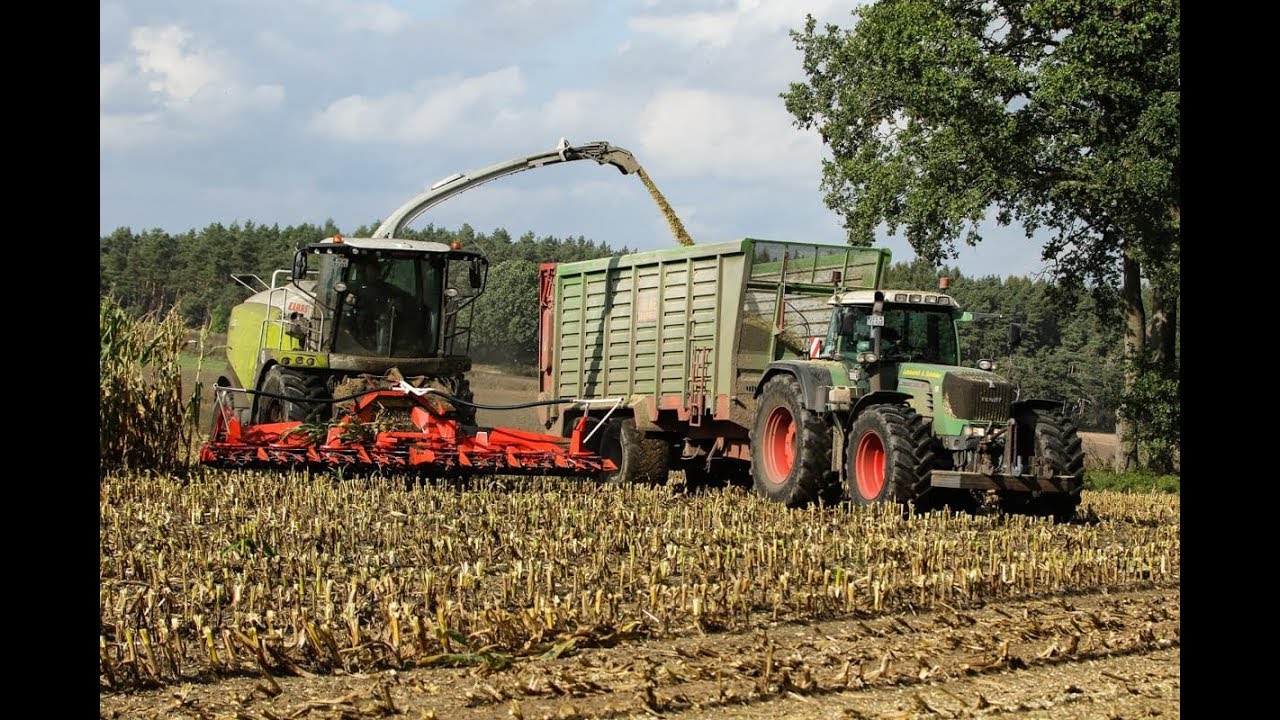 Mais Ernte 2019: Claas Jaguar 950 I Fendt Vario 930 TMS I John Deere 6210R