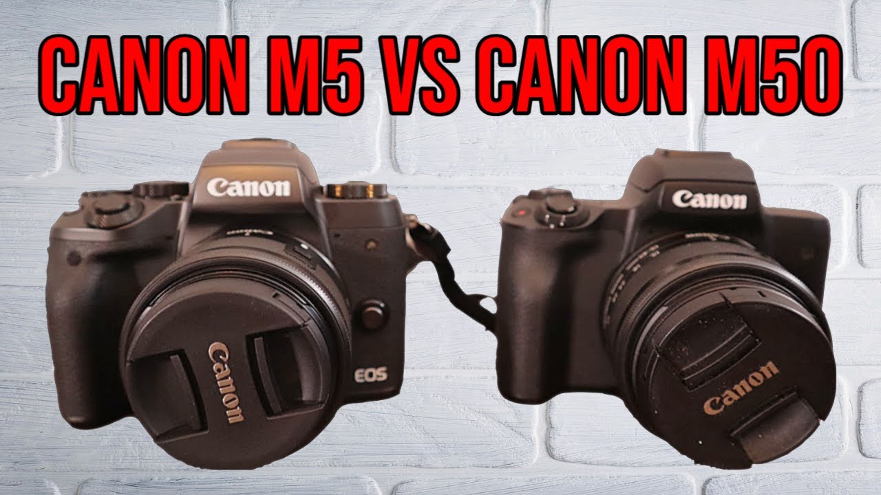 Canon M5 vs M50 - Mirrorless Cameras