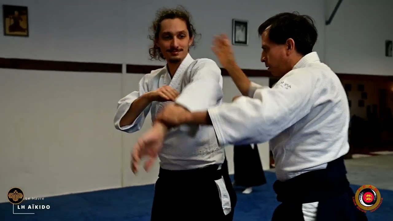 Aïkido : Jean Marc Chamot 7ème dan au Dojo VDB  (décembre 2023 2ème partie)