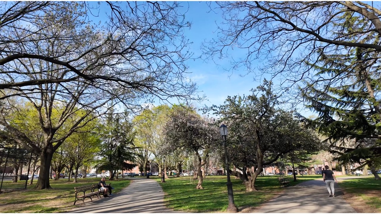 Quiet Spring Walk in Queens NYC | Juniper Valley Park Morning | Cherry Blossoms | No Talking 4K