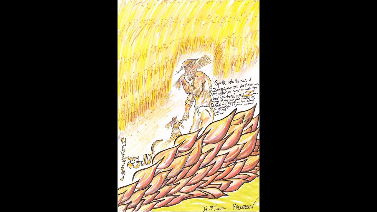 Leviticus 23:9-14 (The Feasts of the Lord, Firstfruits)